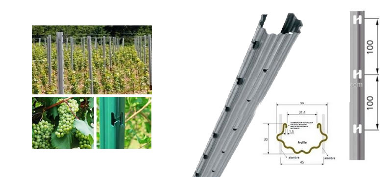 Vineyard Support Post